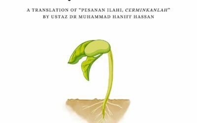 Perhaps You Would Reflect